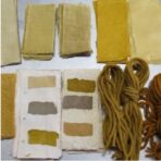 Baies de Nerprun - 100g