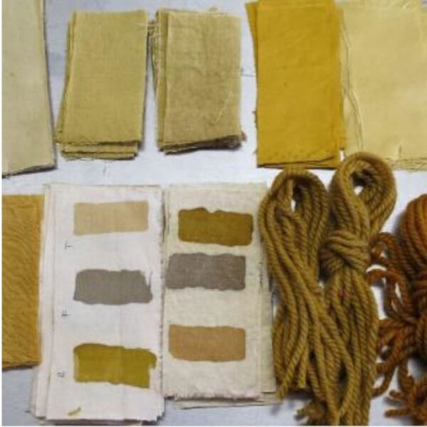 Baies de nerprun - 100g Baies de Nerprun - 100g