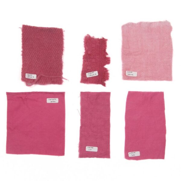 Cochenille cochenille