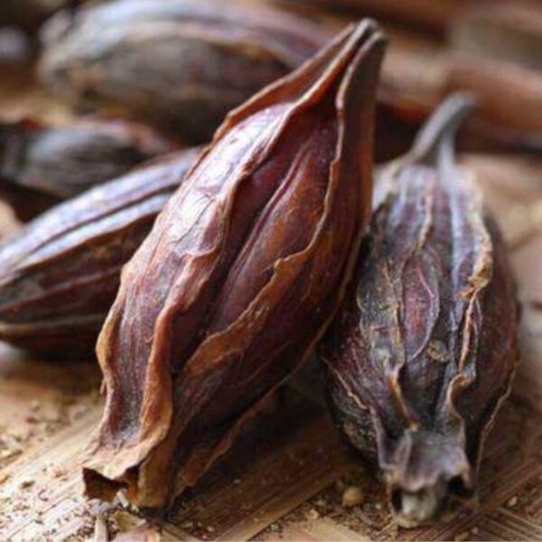 Extrait de myrobolan - 100g Extrait de Myrobolan - 100g