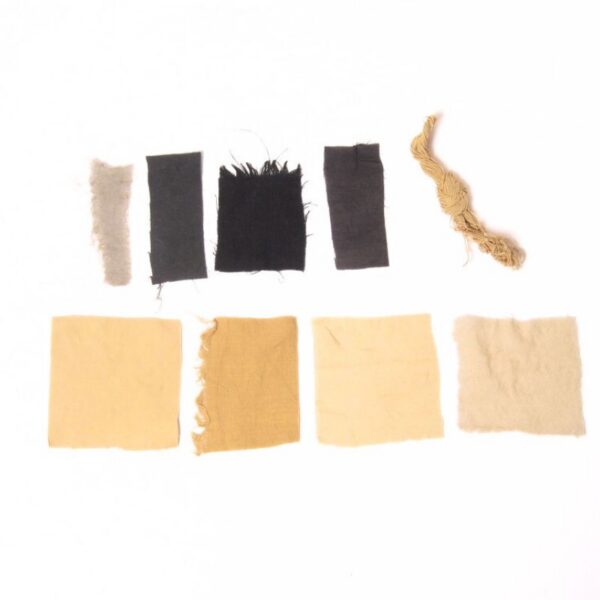 Extrait de myrobolan - 100g Myrobolan