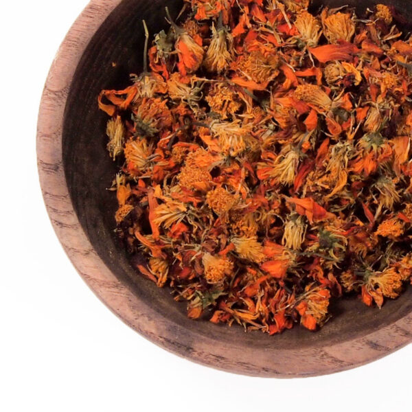 Cosmos sulfureux - 100g Cosmos sulfureux