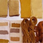 Extrait de châtaignier - 100g