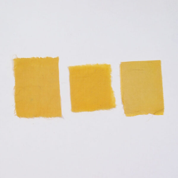 Extrait de réséda - 100g Extrait de réséda