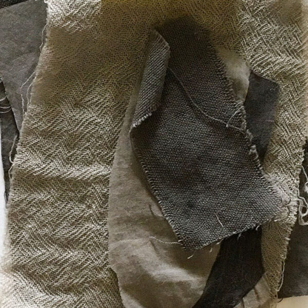 Extrait tanins végétaux Tanins végétaux - 100g