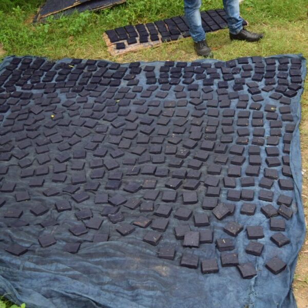 Indigo indien Indigo indien