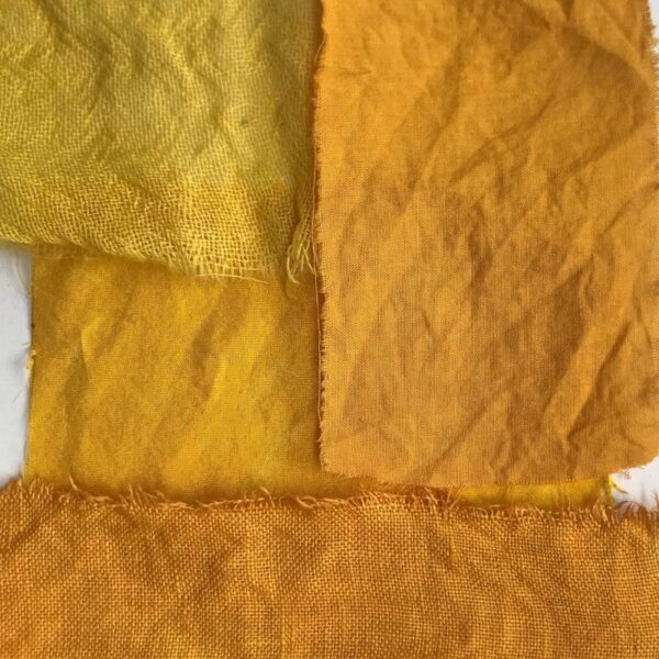 Bois Jaune - 250g Bois Jaune - 250g