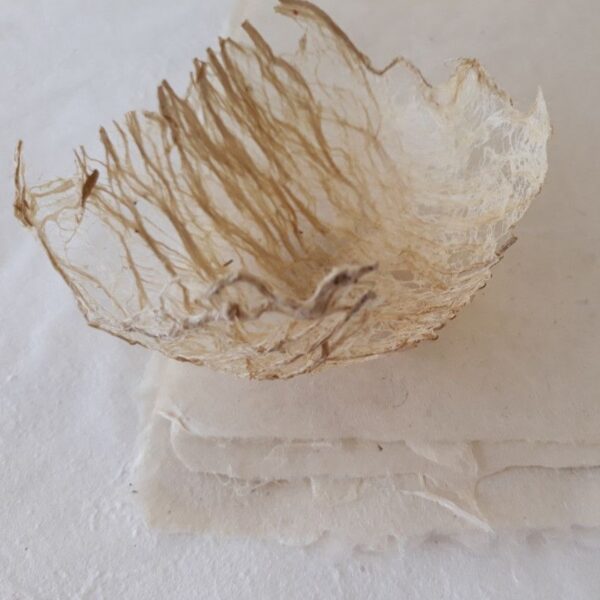 Fabrication de papiers artisanaux