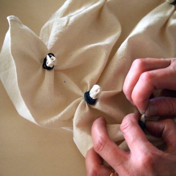 Formation d'animateurs mise en place d'ateliers autour de la couleur végétale - 5 jours