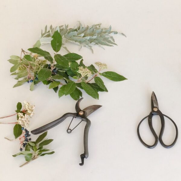 Formation d'animateurs mise en place d'ateliers autour de la couleur végétale - 5 jours