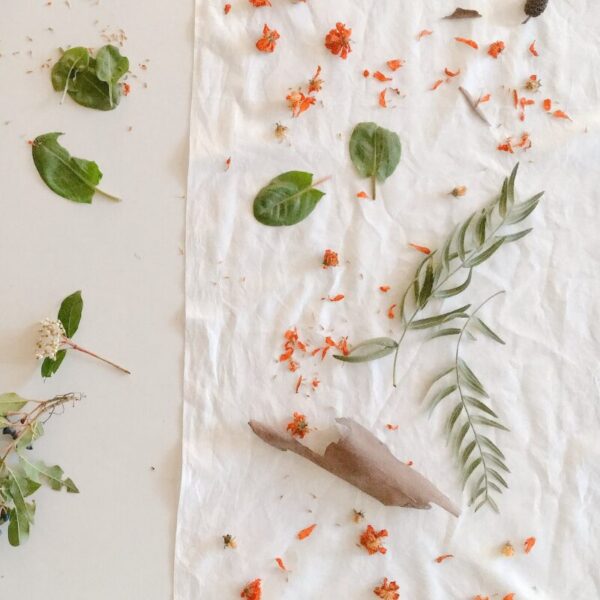 Formation Eco-print - 3 jours