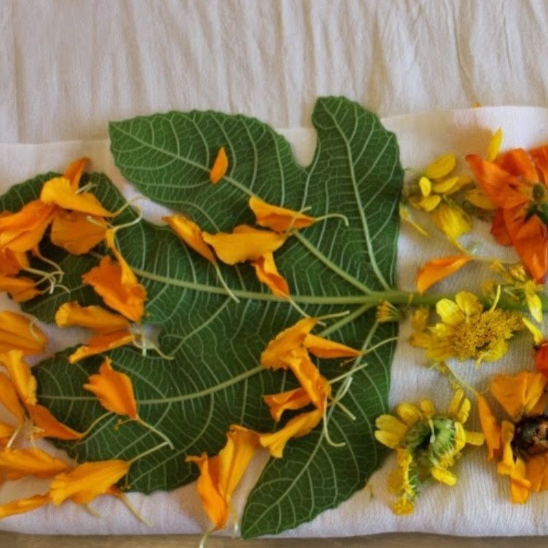 Formation Eco-print - 3 jours