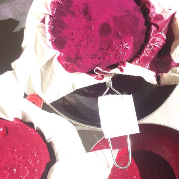 Formation : Fabrication de pigments organiques