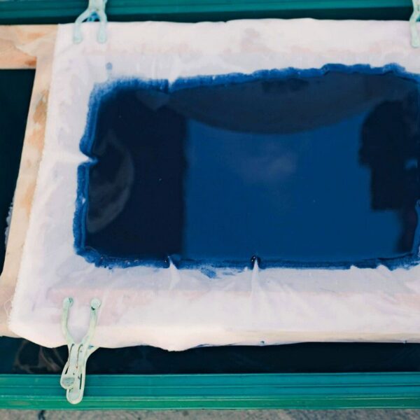 Formation Indigo extraction et utilisation - 3 jours