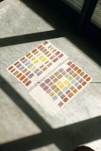 Formation : Motifs et impressions textiles en couleur végétale