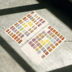 Formation : Motifs et impressions textiles en couleur végétale