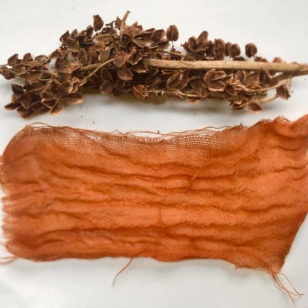 Projet textile et couleurs végétales