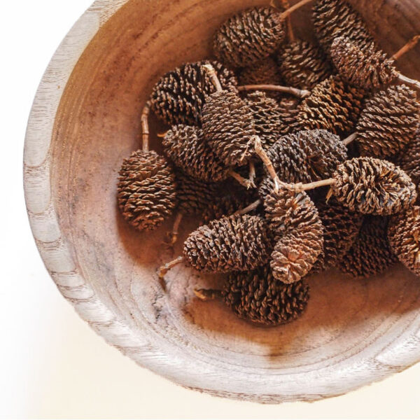 Yashabushi yashabushi