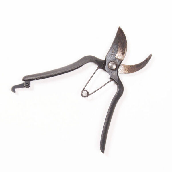 Sécateur japonais Sécateur japonais