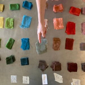 Formation : Teinture naturelle 100% végétale bio-mordants et fermentation