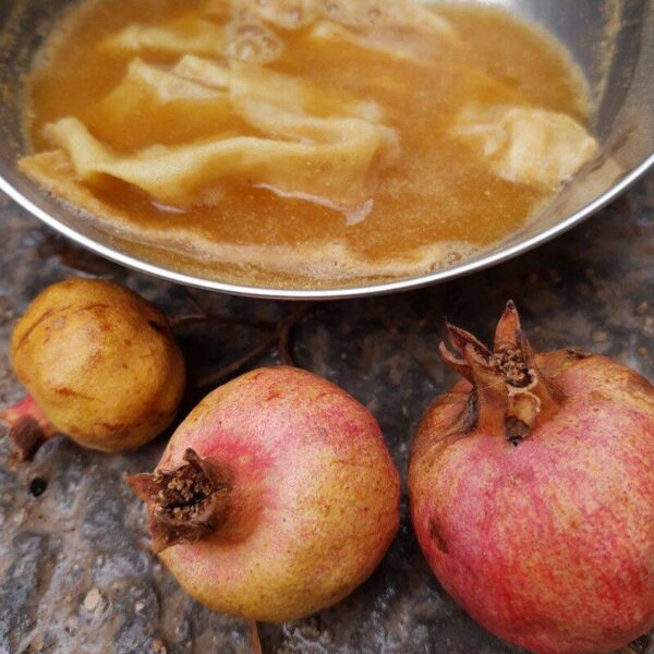 Formation Teinture naturelle 100% végétale bio-mordants et fermentation 5 jours