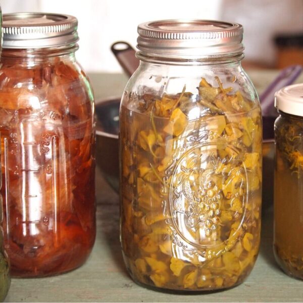 Formation Teinture naturelle 100% végétale bio-mordants et fermentation 5 jours