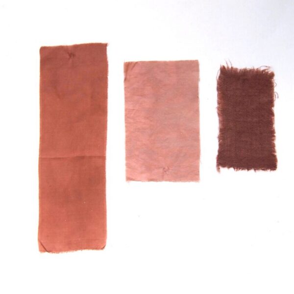 Bois de santal - 100g Bois de santal - 100g