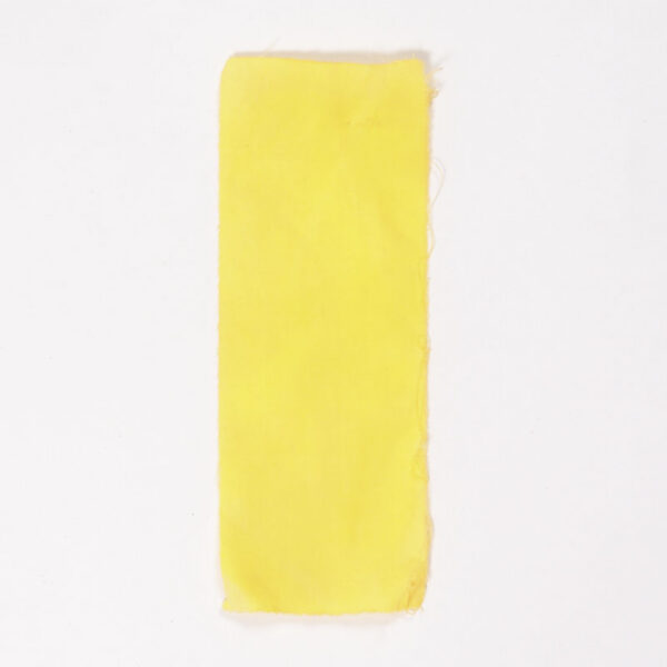 Curcuma - 100g curcuma