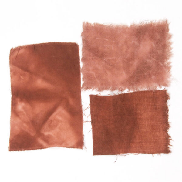 Extrait d'Arequier - 100g Extrait d'Arequier