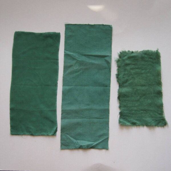 Extrait de chlorophylle Extrait de mûrier