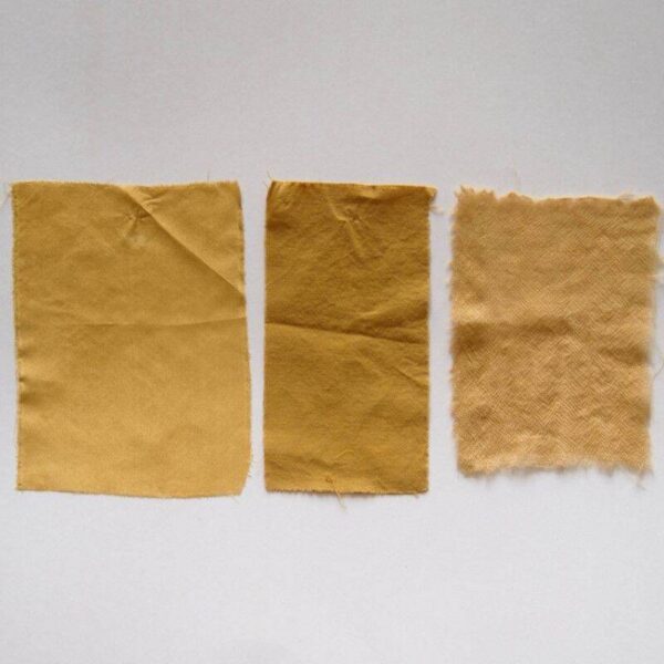 Myrobolan - 100g Myrobolan - 100g