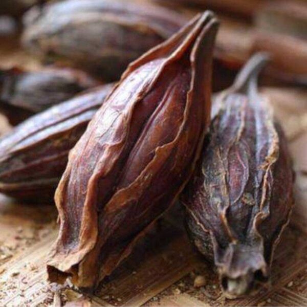 Myrobolan - 100g Myrobolan - 100g