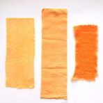 Palas ou Arbre à perroquet - 100g