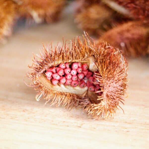 Rocou - 100g Rocou - 100g