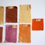 Coton biologique moyen réf CI002