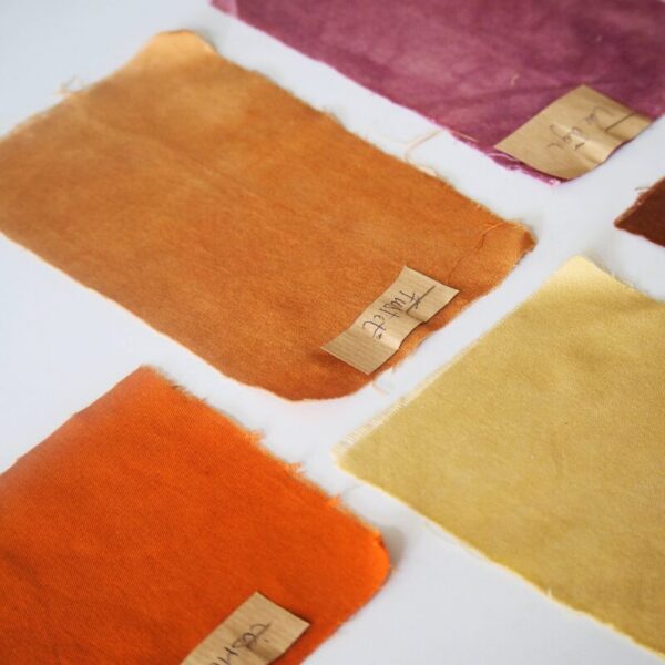 Coton bio moyen réf CI002 Coton biologique moyen réf CI002