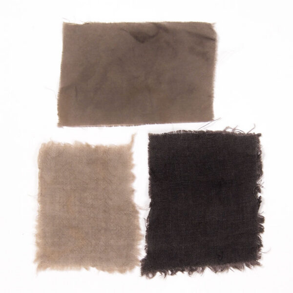 Extrait « cèdre gris » - 100g extrait de cedre gris