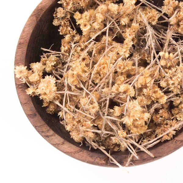 Immortelle commune - 100g Immortelle commune