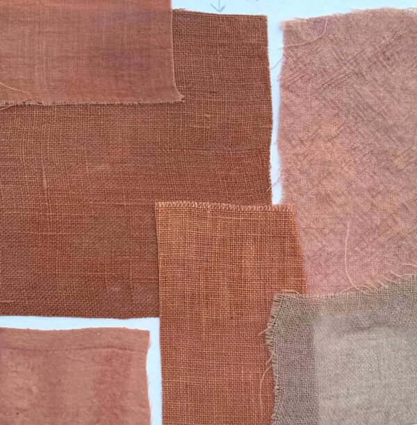 Avocat - 100g Avocat - 100g