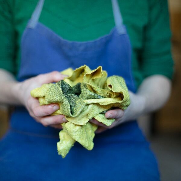 Formation Tannage végétal et teinture naturelle sur cuir de poisson