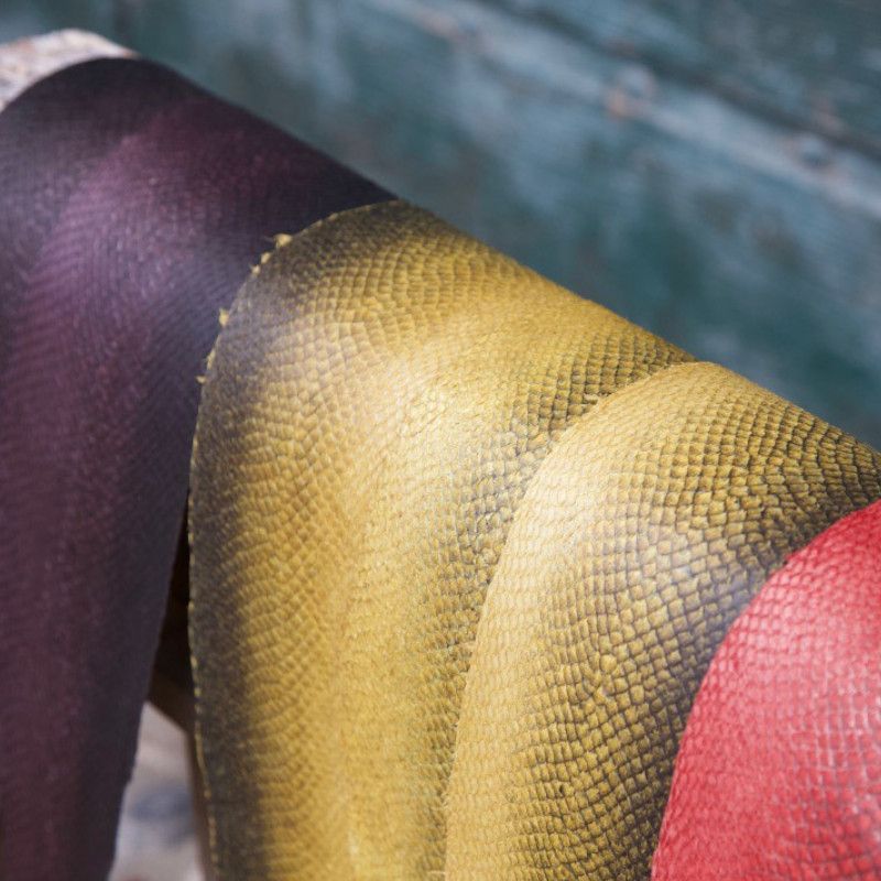 Formation Tannage végétal et teinture naturelle sur cuir de poisson