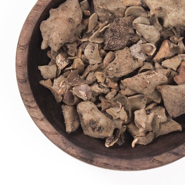 Noix de galle du sumac - 100g Noix-de-galle-du-sumac