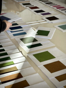 Formation : Recherches chromatiques avancées