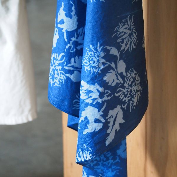 Nouveautés Nouveautés