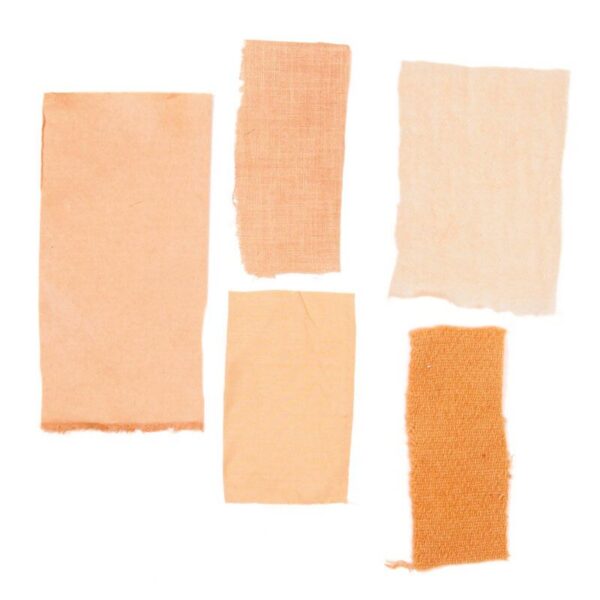 Fustet ou Arbre à perruques - 200g fustet