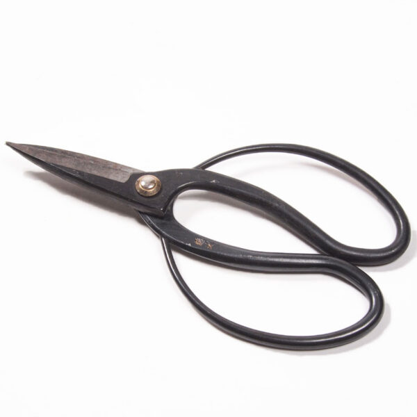 Ciseaux cueillette Ciseaux cueillette