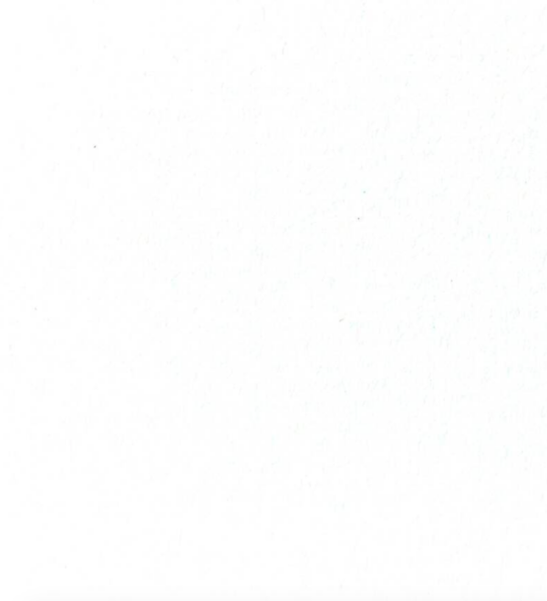 image blanche pour produit sans photo