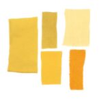 Baies de Nerprun - 100g