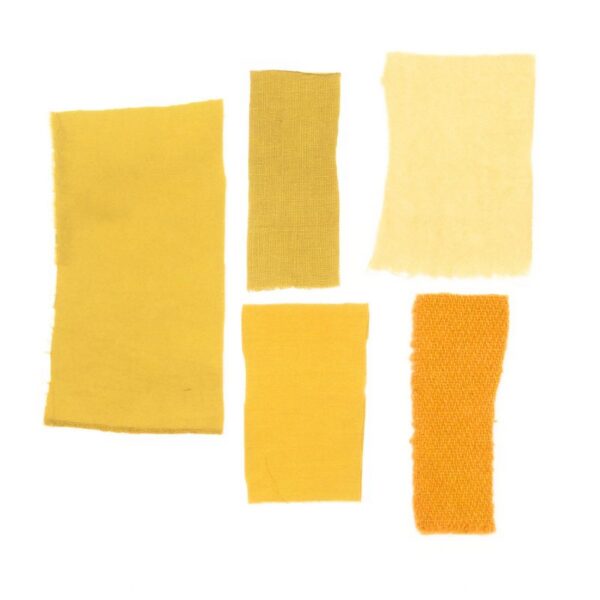 Baies de nerprun - 100g Baies de Nerprun - 100g