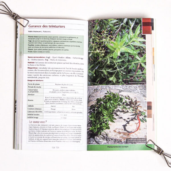 Guide des teintures naturelles - plantes à fleurs guide des teintures naturelles